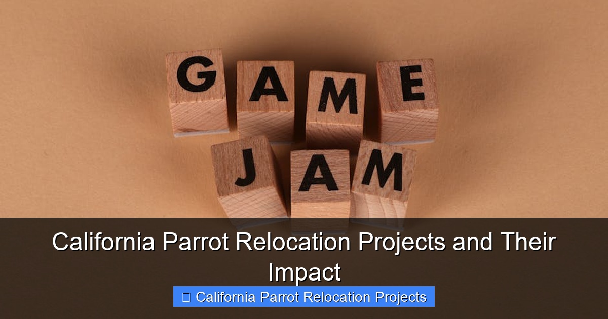 Featured image for California Parrot Relocation Projects and Their Impact