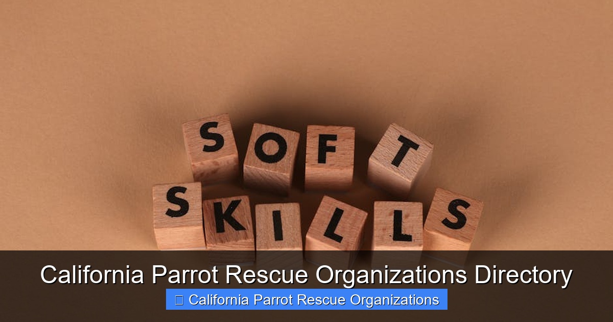 Featured image for California Parrot Rescue Organizations Directory