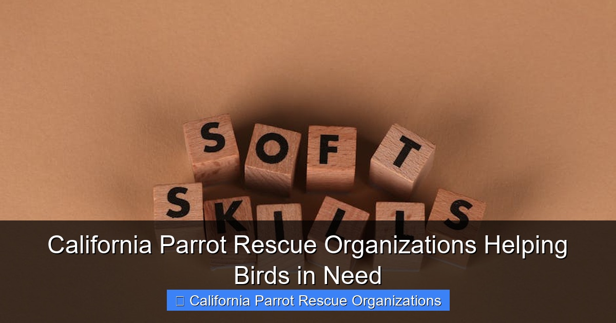Featured image for California Parrot Rescue Organizations Helping Birds in Need