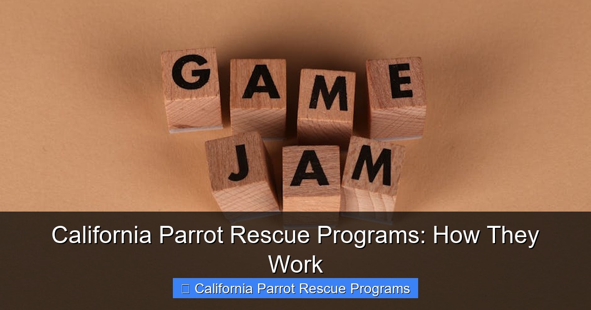 Featured image for California Parrot Rescue Programs: How They Work