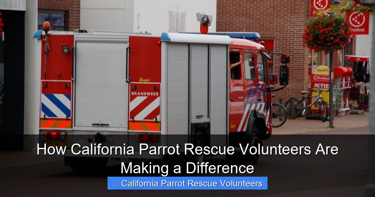 Featured image for How California Parrot Rescue Volunteers Are Making a Difference