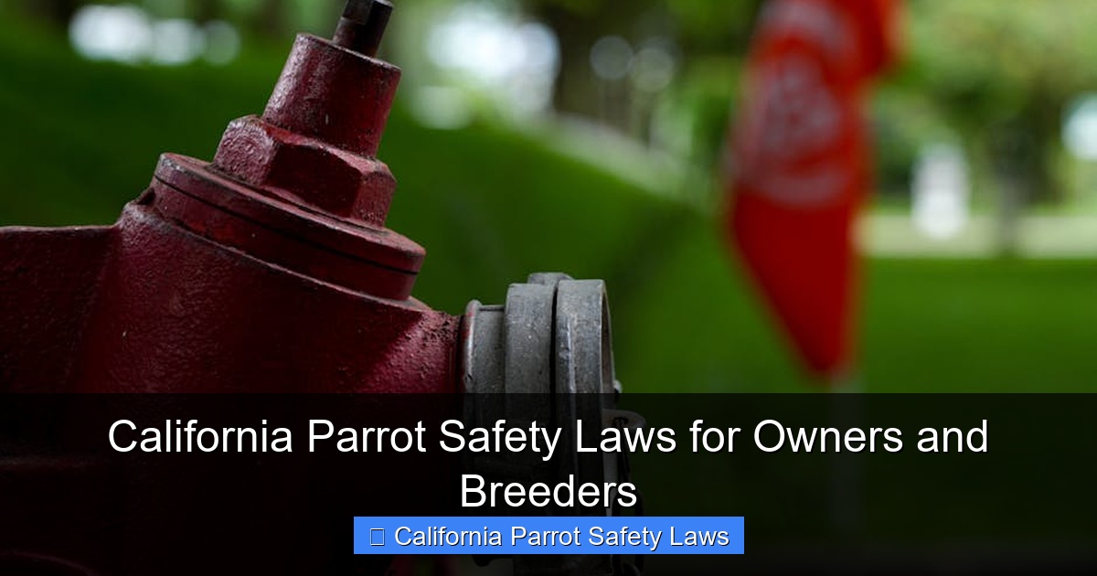 Featured image for California Parrot Safety Laws for Owners and Breeders