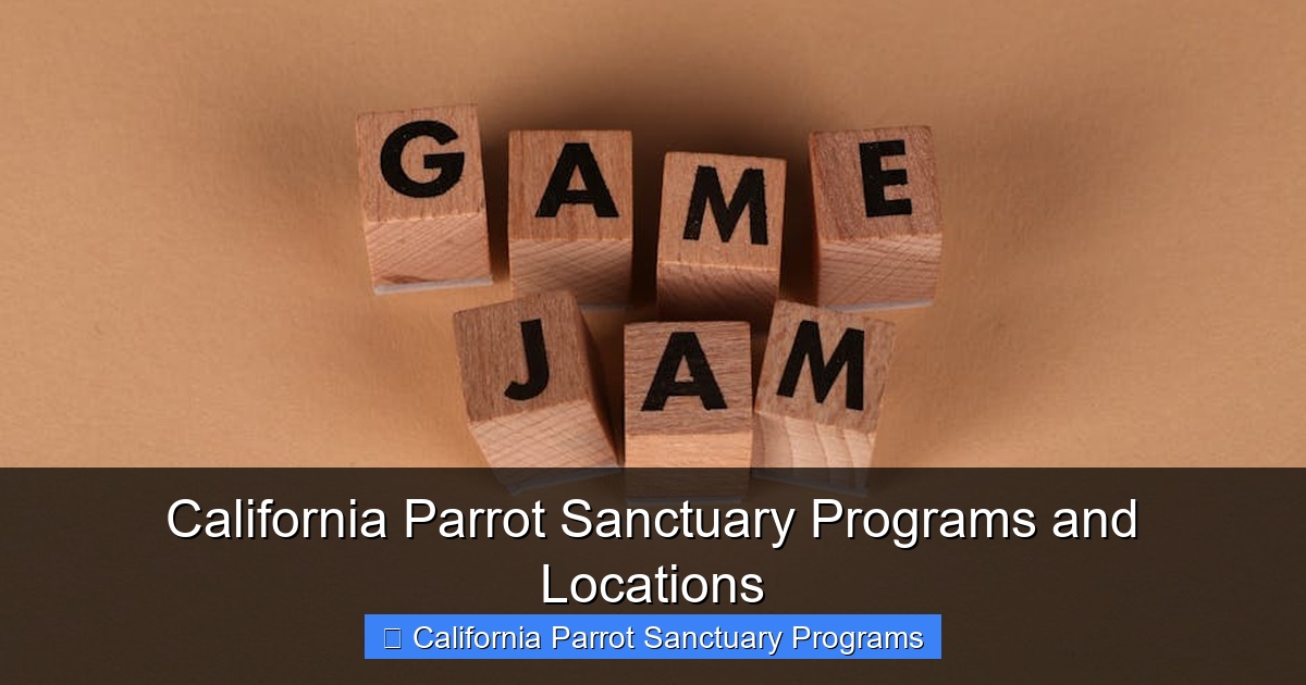 Featured image for California Parrot Sanctuary Programs and Locations