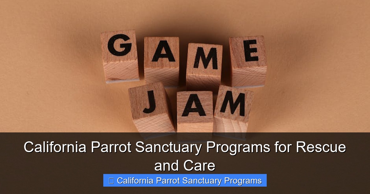Featured image for California Parrot Sanctuary Programs for Rescue and Care
