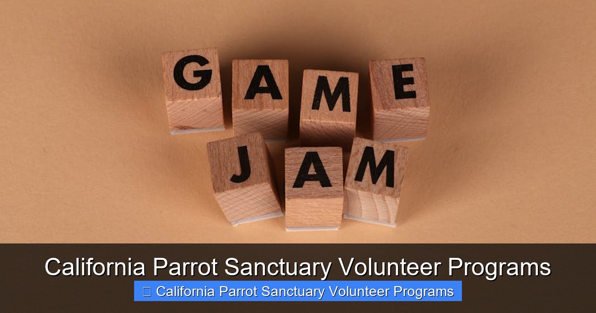 Featured image for California Parrot Sanctuary Volunteer Programs