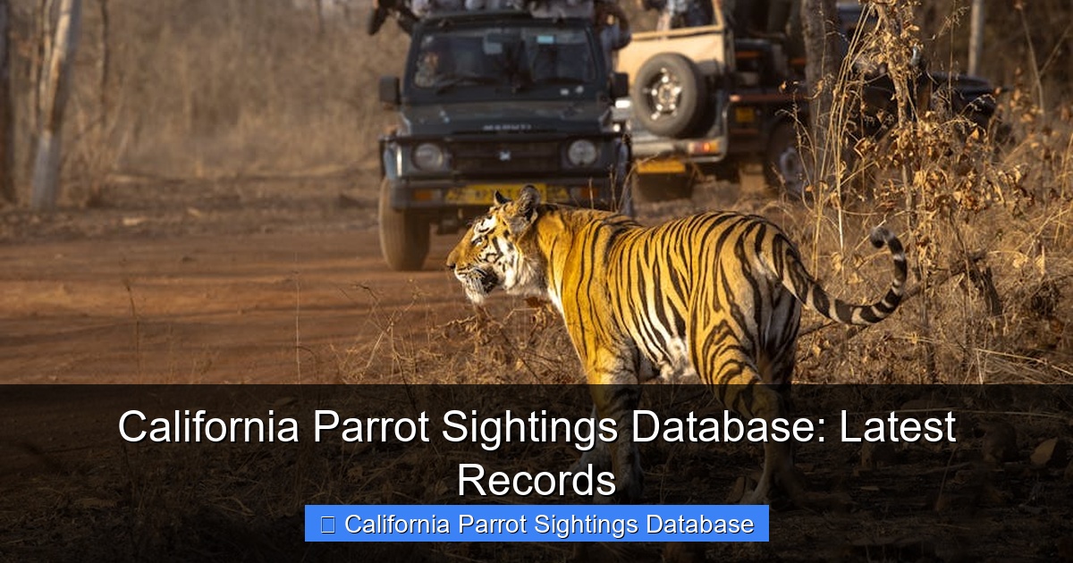 Featured image for California Parrot Sightings Database: Latest Records