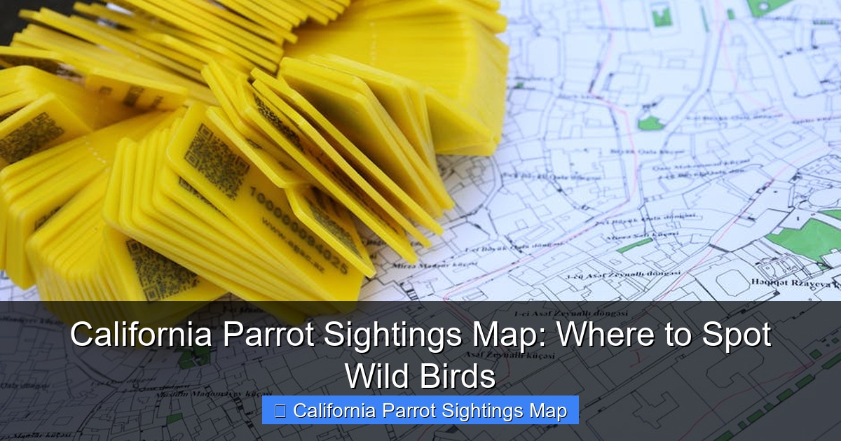 California Parrot Sightings Map: Where to Spot Wild Birds