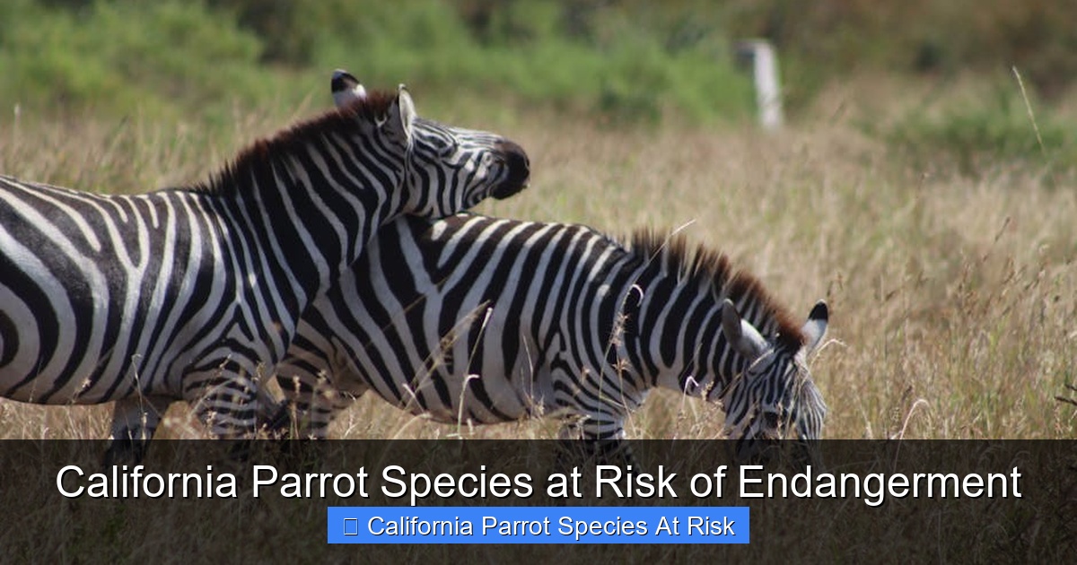Featured image for California Parrot Species at Risk of Endangerment