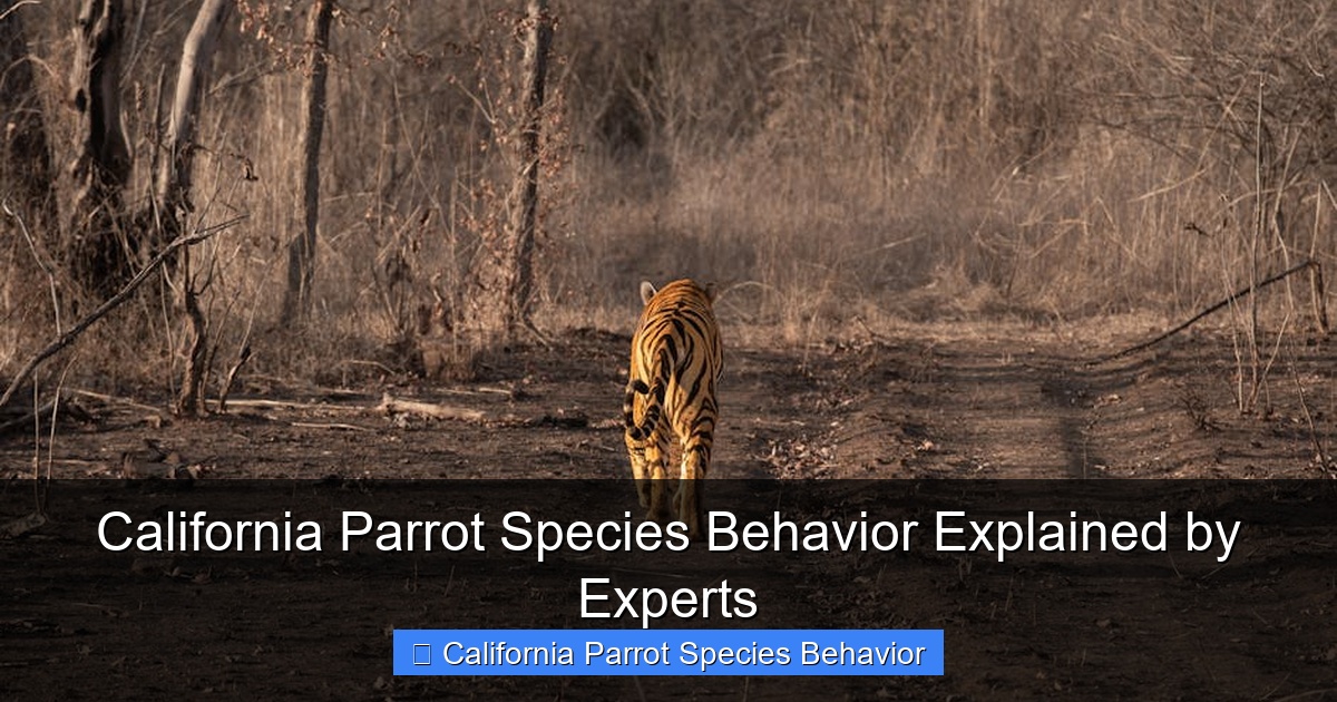 Featured image for California Parrot Species Behavior Explained by Experts