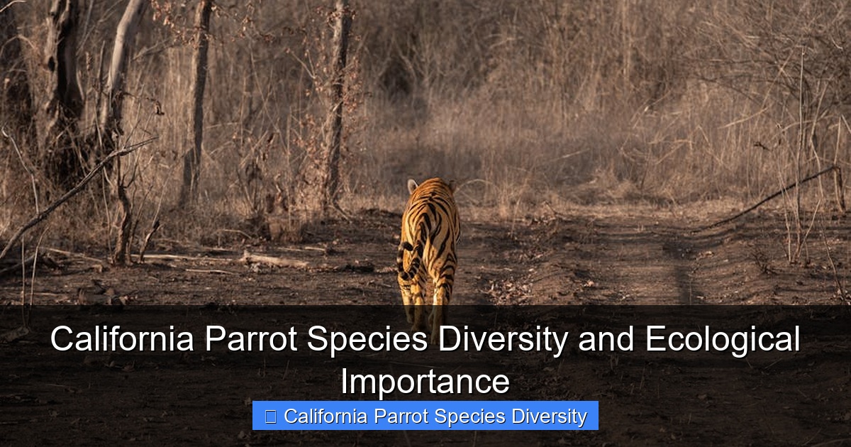 Featured image for California Parrot Species Diversity and Ecological Importance