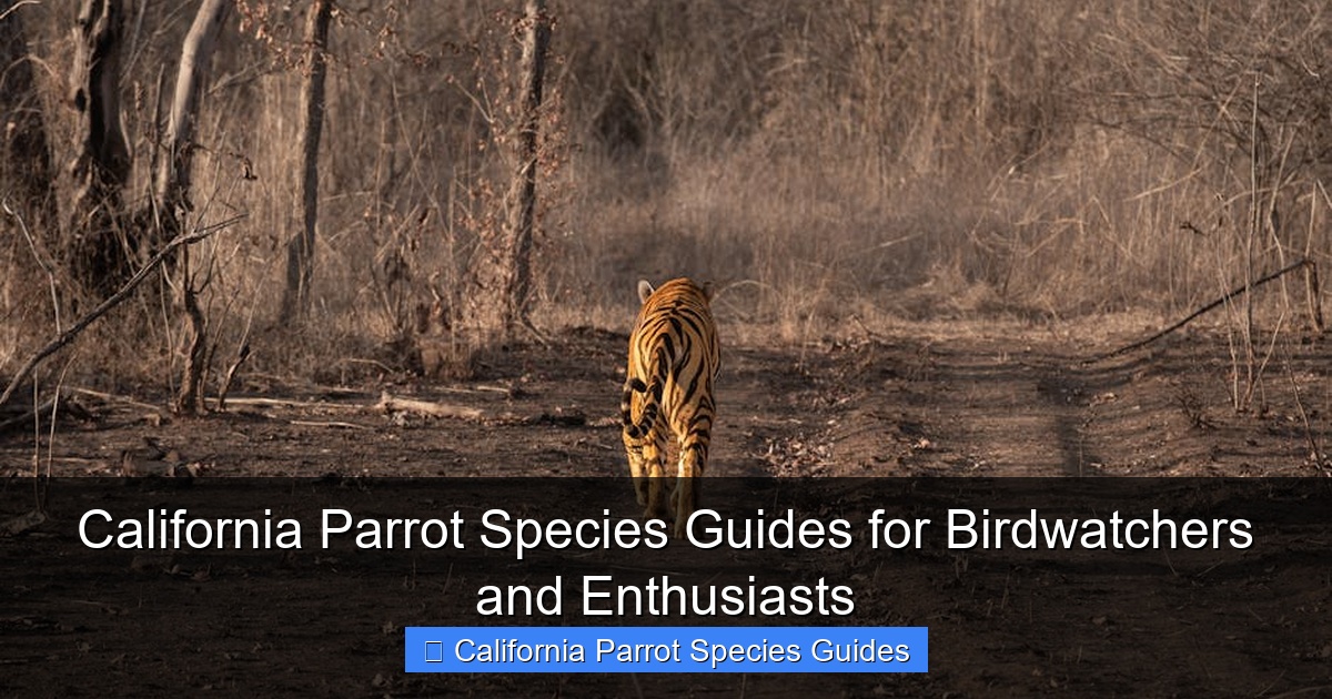 Featured image for California Parrot Species Guides for Birdwatchers and Enthusiasts