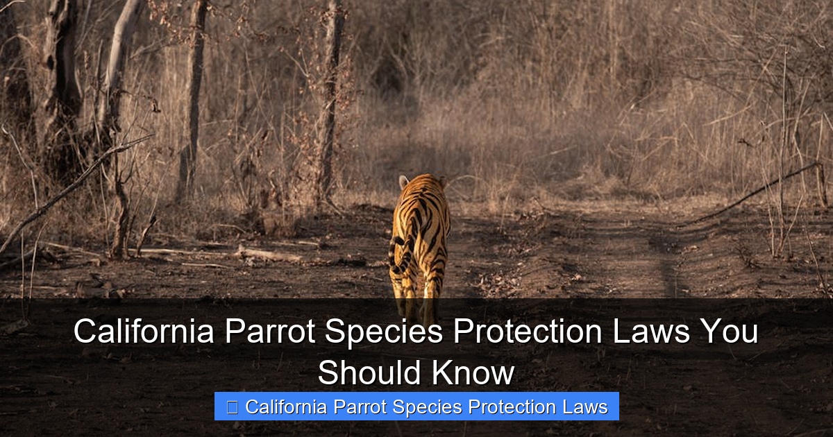 Featured image for California Parrot Species Protection Laws You Should Know