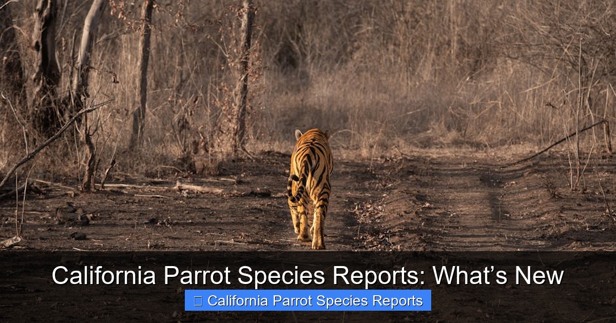 Featured image for California Parrot Species Reports: What’s New