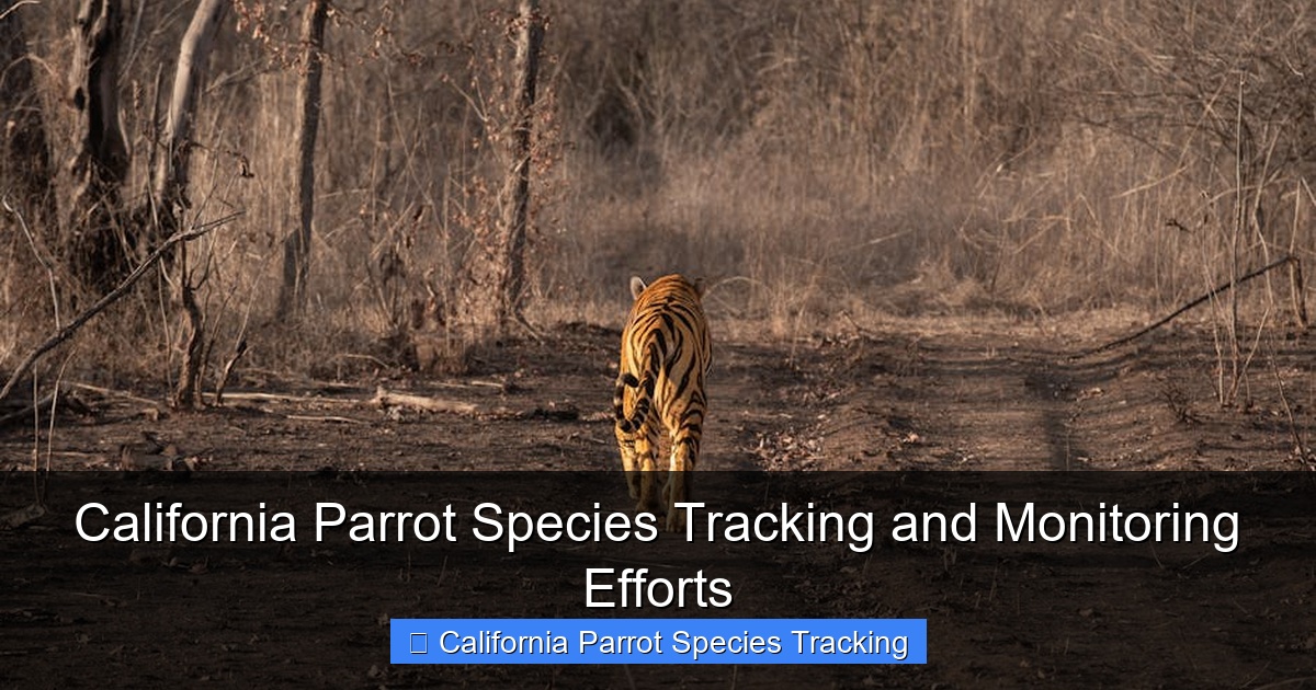 Featured image for California Parrot Species Tracking and Monitoring Efforts