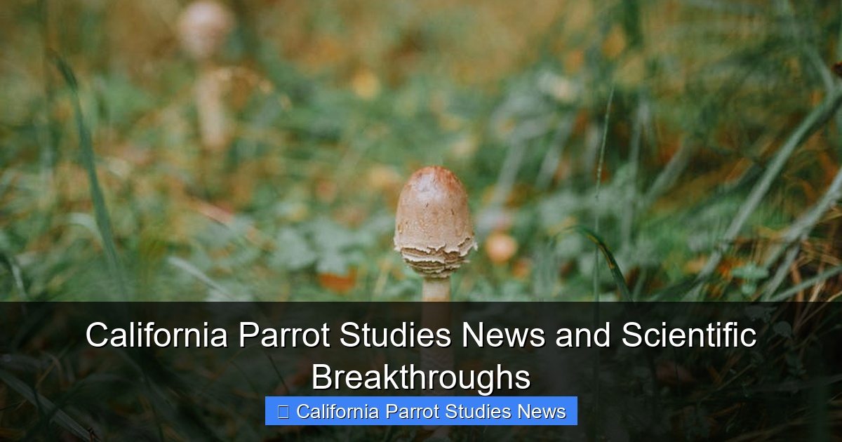 Featured image for California Parrot Studies News and Scientific Breakthroughs