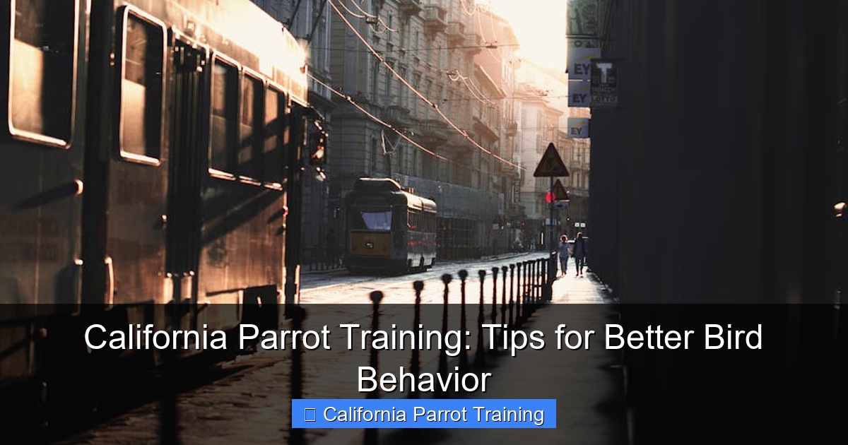 California Parrot Training: Tips for Better Bird Behavior