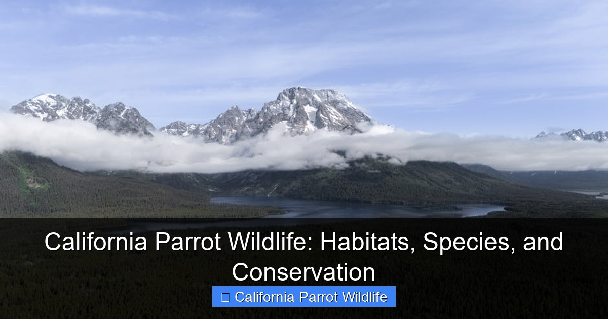 California Parrot Wildlife: Habitats, Species, and Conservation