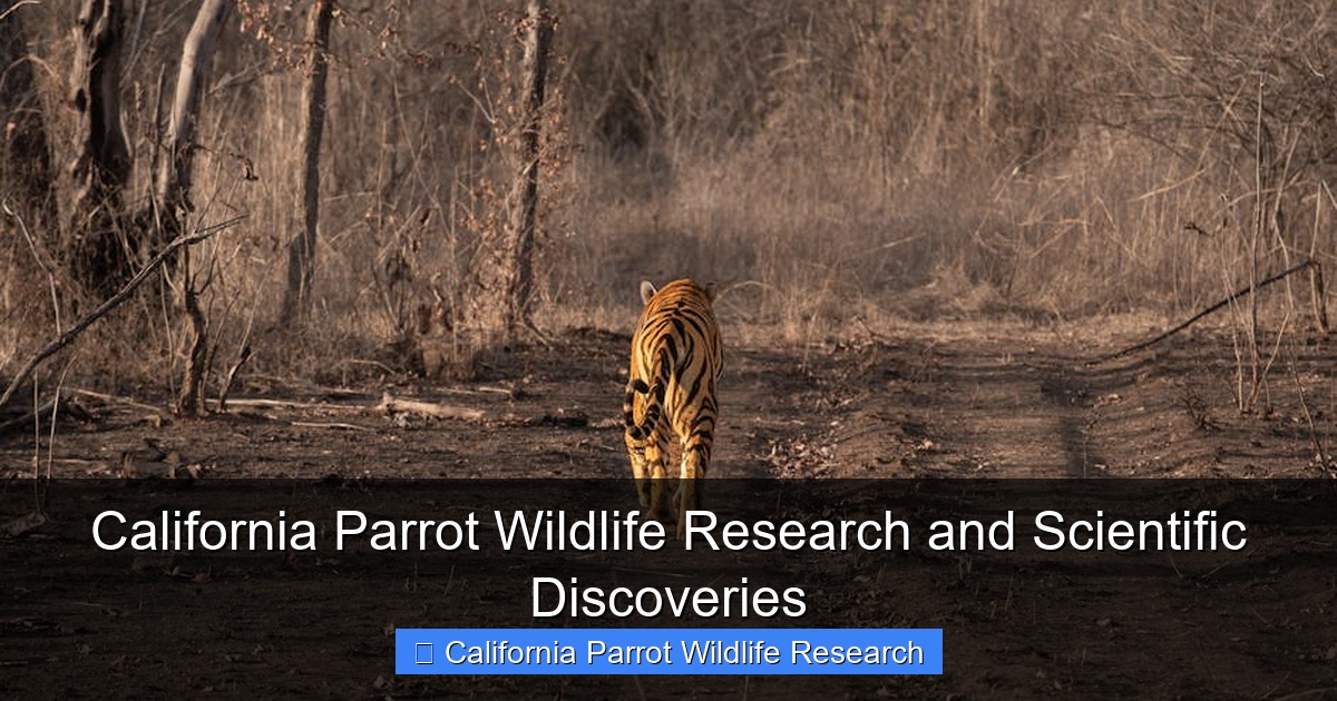 Featured image for California Parrot Wildlife Research and Scientific Discoveries