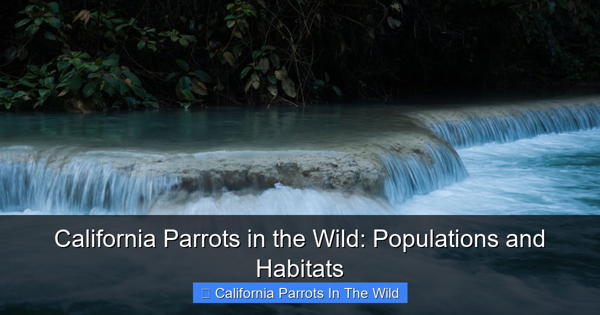 California Parrots in the Wild: Populations and Habitats