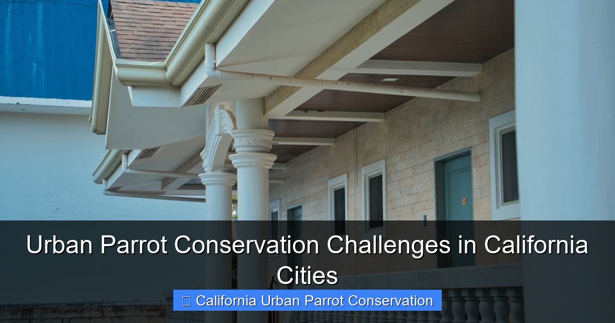 Featured image for Urban Parrot Conservation Challenges in California Cities
