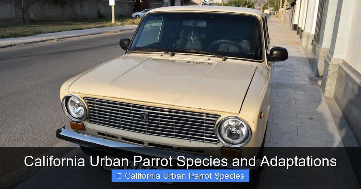 Featured image for California Urban Parrot Species and Adaptations