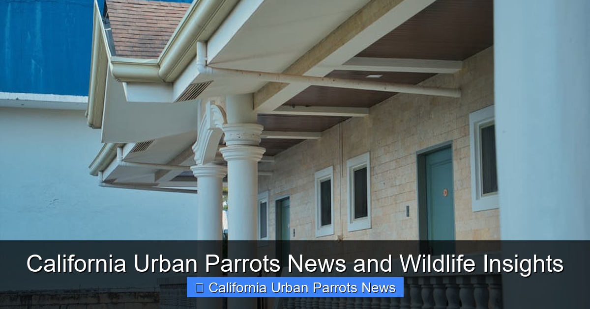 Featured image for California Urban Parrots News and Wildlife Insights