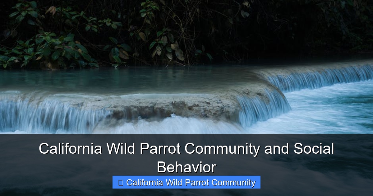 Featured image for California Wild Parrot Community and Social Behavior