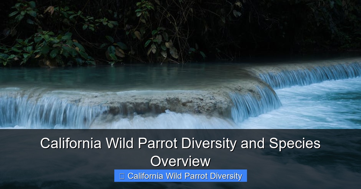 Featured image for California Wild Parrot Diversity and Species Overview