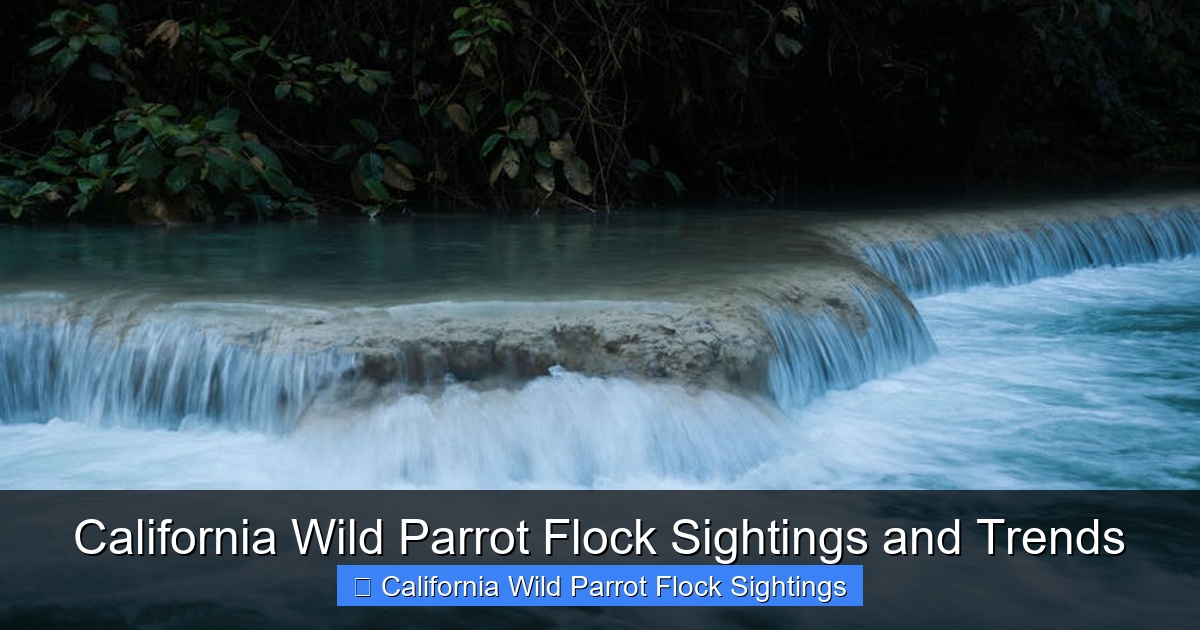 Featured image for California Wild Parrot Flock Sightings and Trends