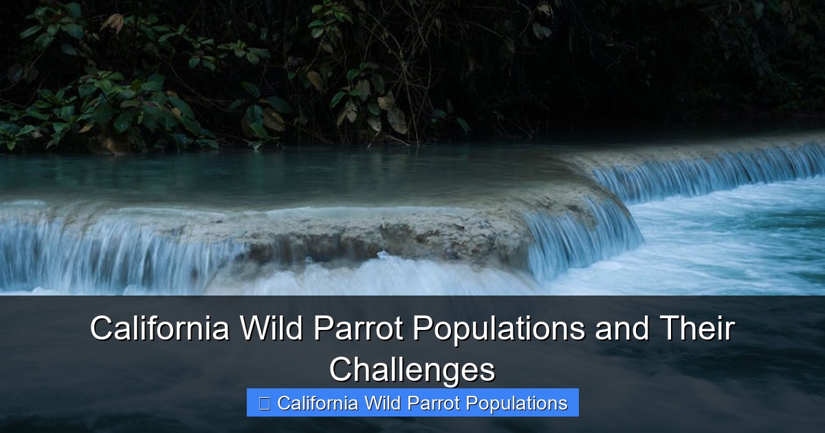 Featured image for California Wild Parrot Populations and Their Challenges