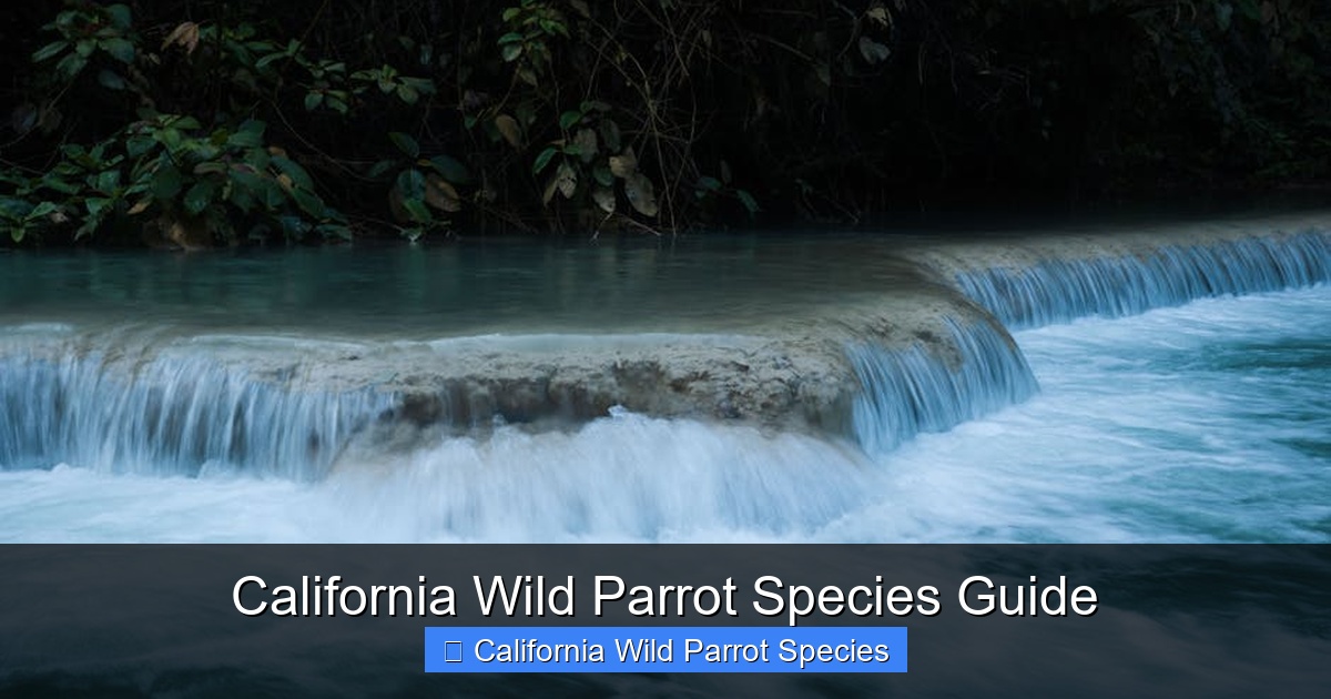 Featured image for California Wild Parrot Species Guide