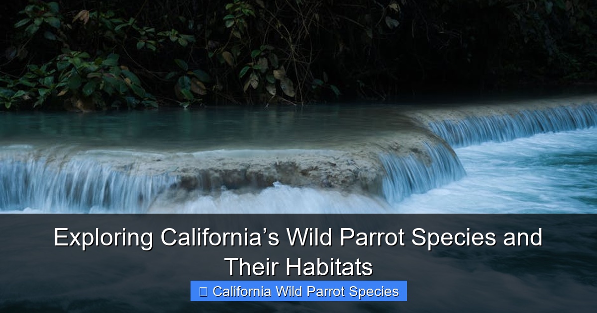 Featured image for Exploring California’s Wild Parrot Species and Their Habitats