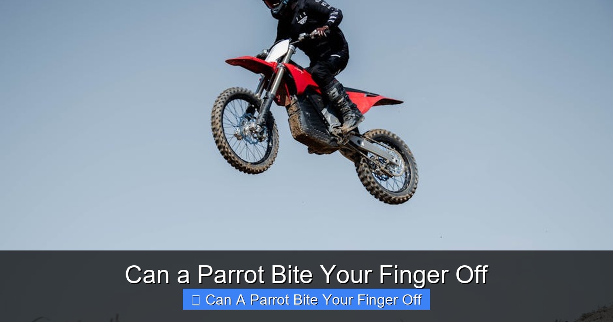 Featured image for Can a Parrot Bite Your Finger Off