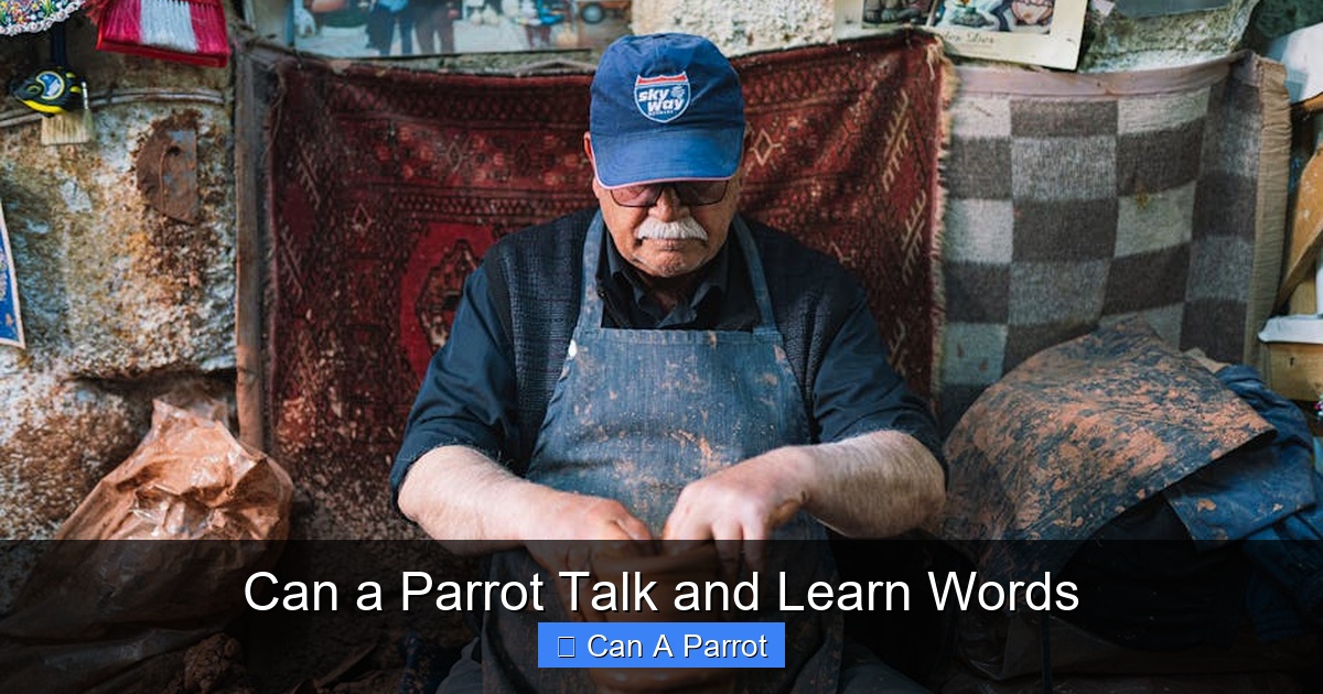 Featured image for Can a Parrot Talk and Learn Words