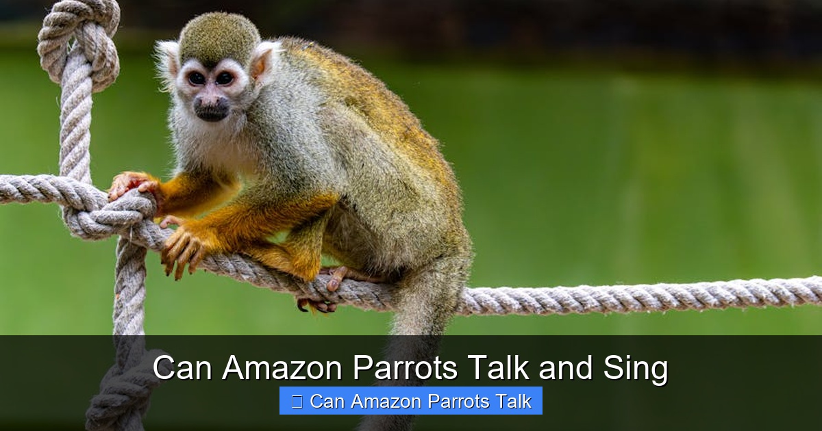 Featured image for Can Amazon Parrots Talk and Sing