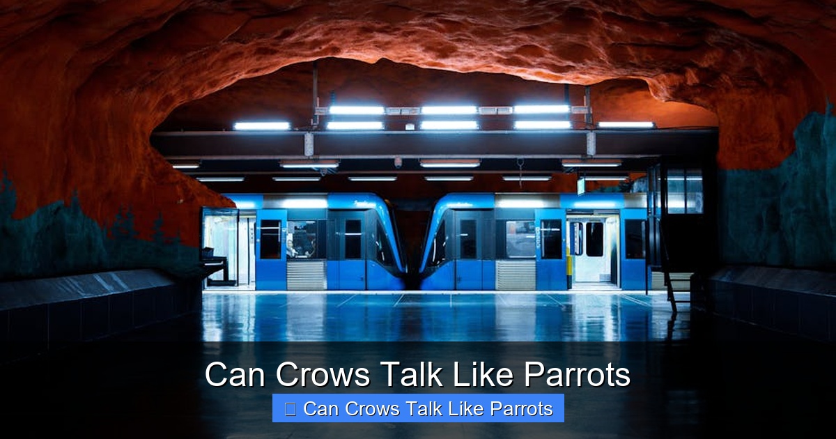 Featured image for Can Crows Talk Like Parrots