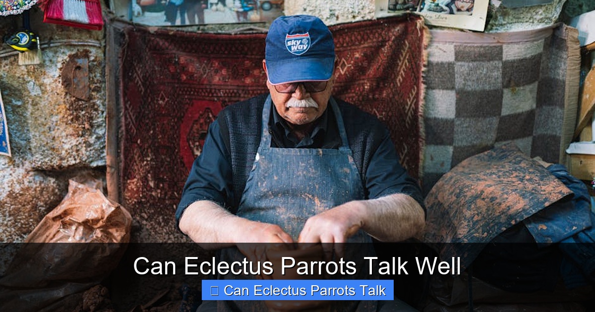 Featured image for Can Eclectus Parrots Talk Well