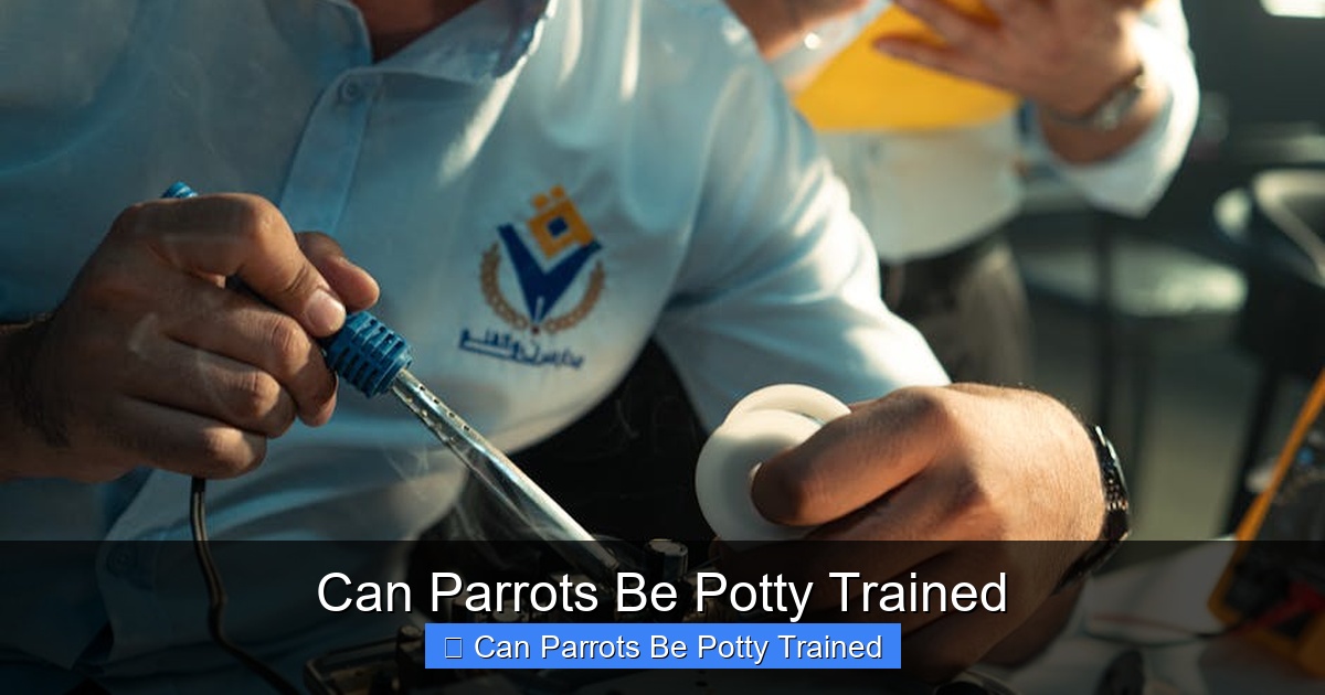 Featured image for Can Parrots Be Potty Trained