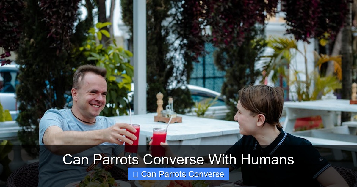 Featured image for Can Parrots Converse With Humans