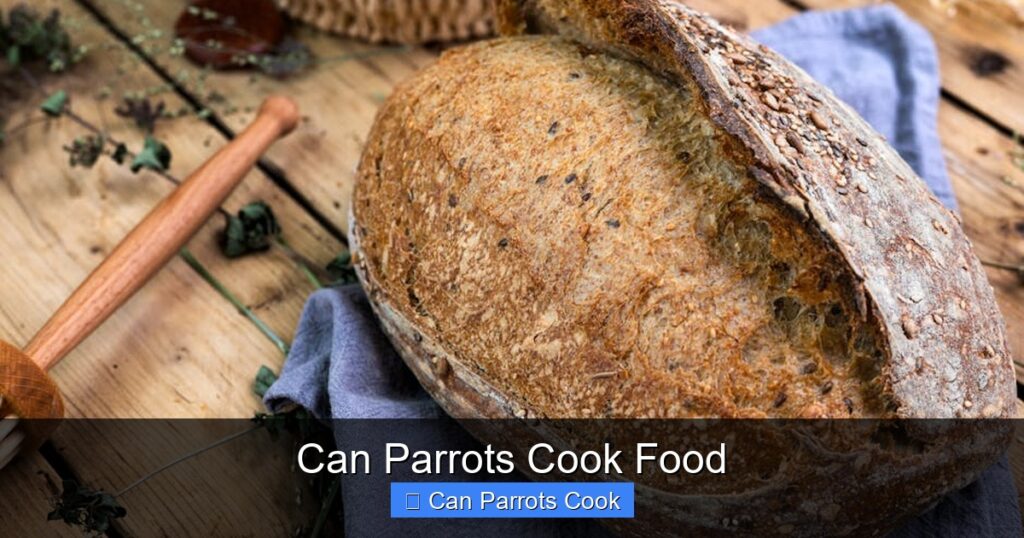 Can Parrots Cook Food - californiaflocks.org