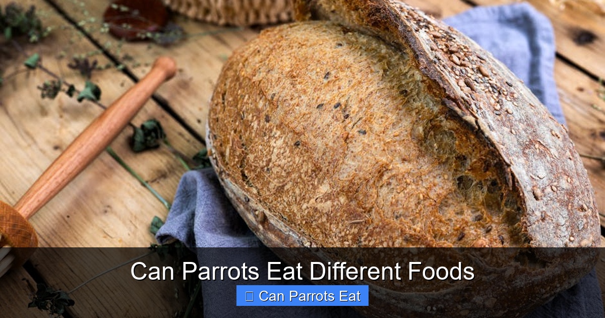 Featured image for Can Parrots Eat Different Foods