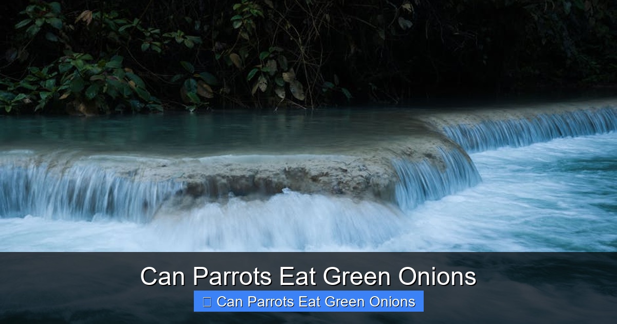 Featured image for Can Parrots Eat Green Onions