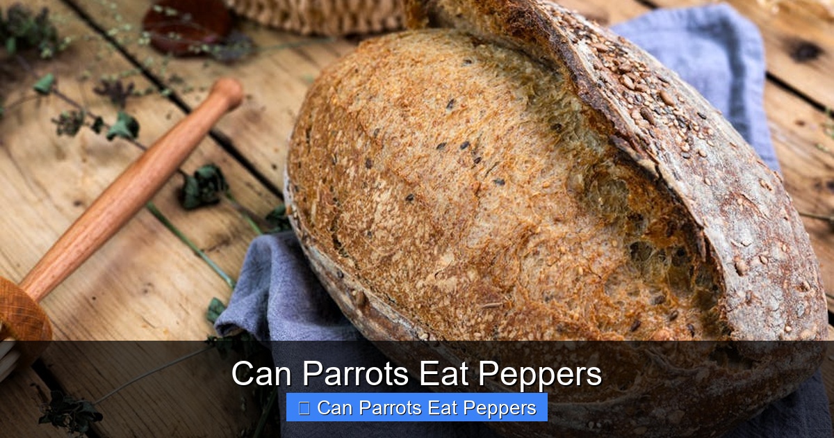 Featured image for Can Parrots Eat Peppers