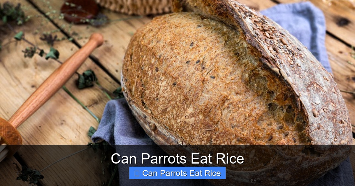 Featured image for Can Parrots Eat Rice