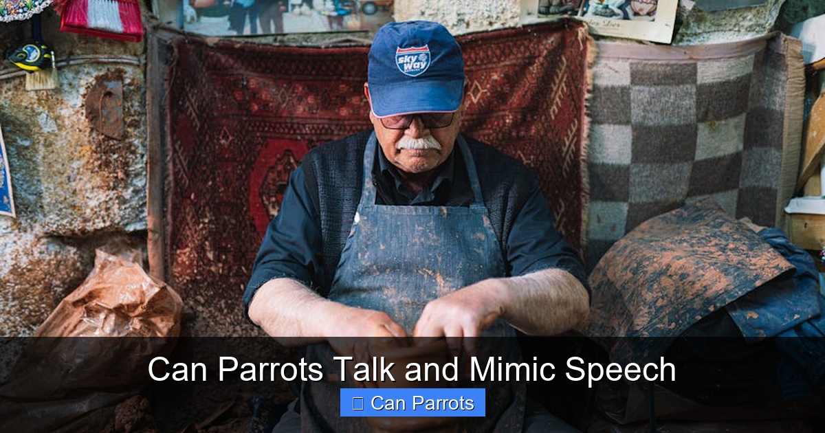 Featured image for Can Parrots Talk and Mimic Speech