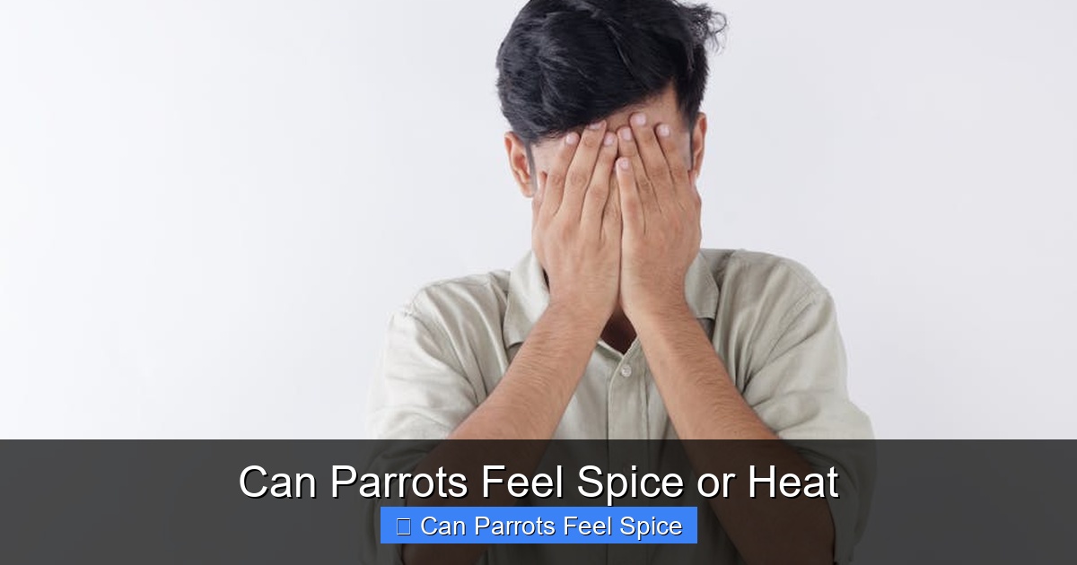 Featured image for Can Parrots Feel Spice or Heat