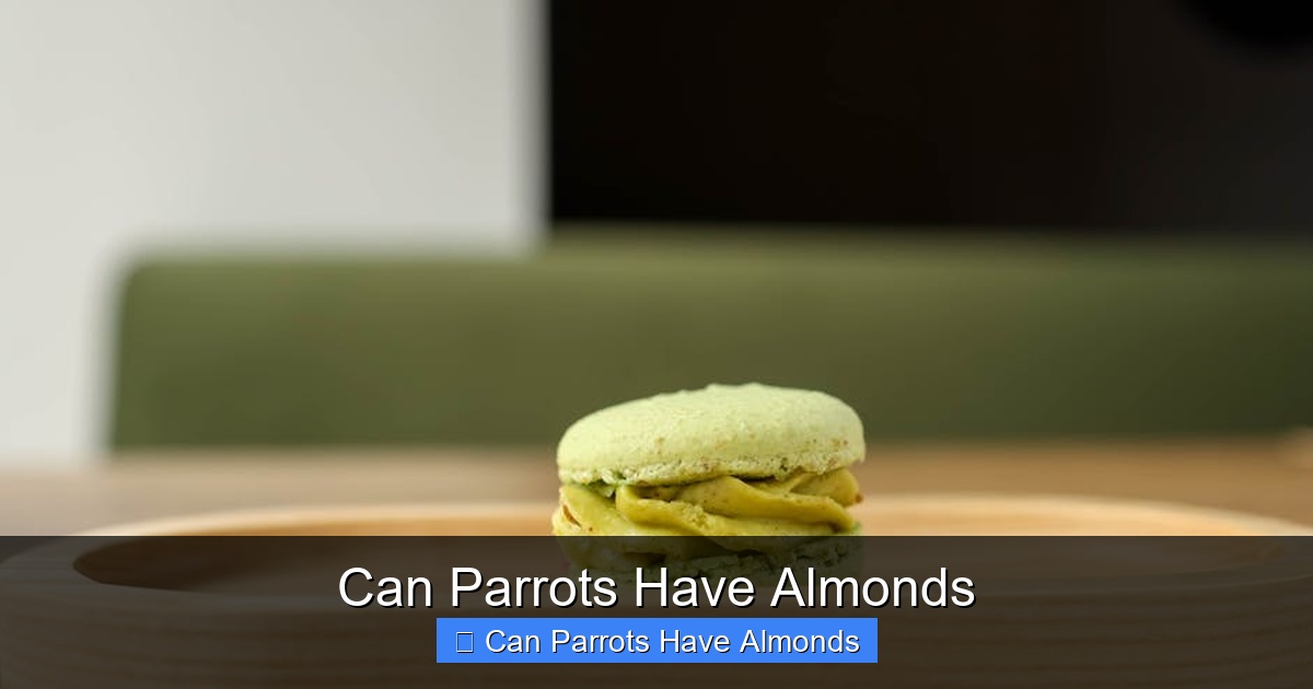Featured image for Can Parrots Have Almonds