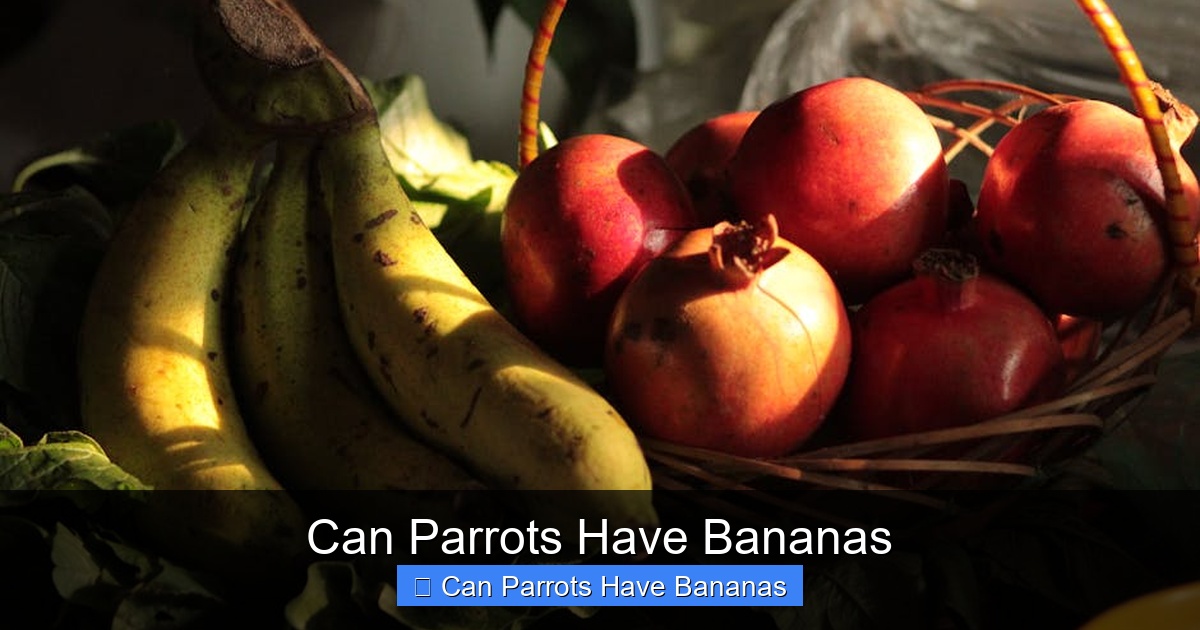 Featured image for Can Parrots Have Bananas