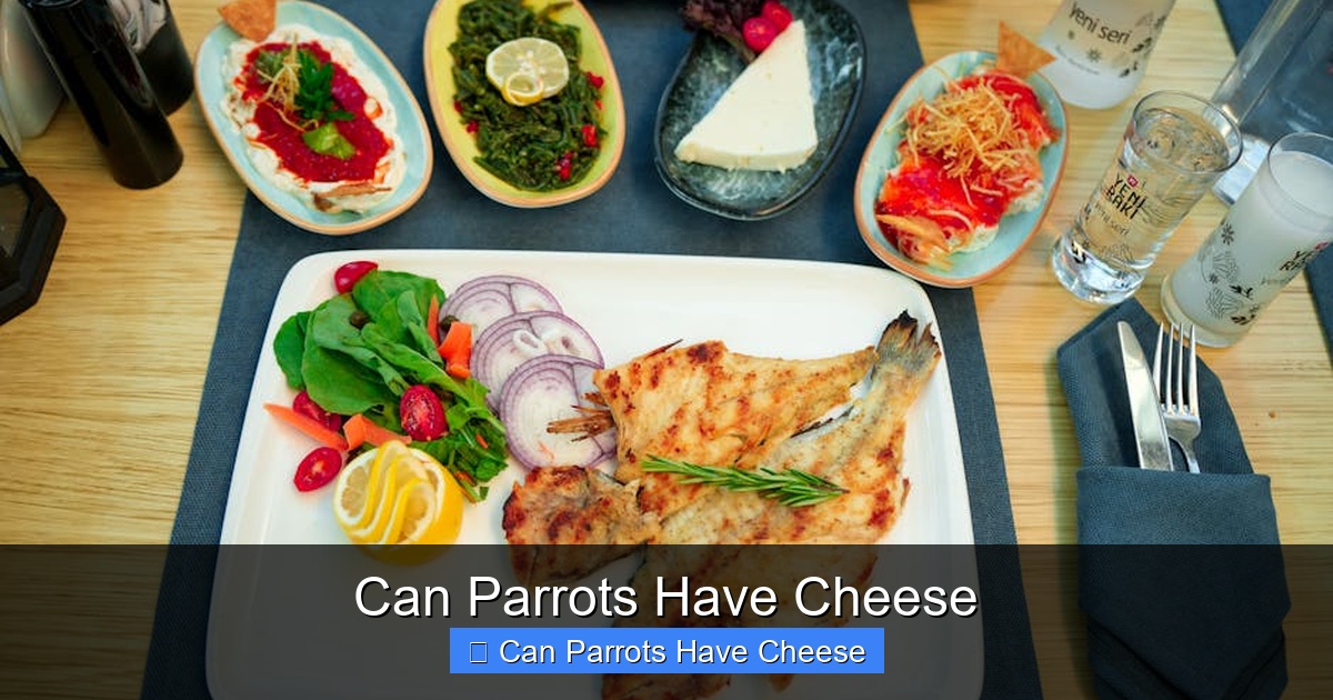 Featured image for Can Parrots Have Cheese