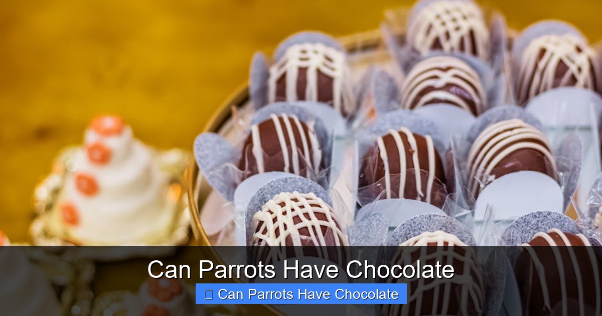 Featured image for Can Parrots Have Chocolate